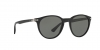 PO3143V Eyeglasses