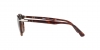 PO3152S Sunglasses