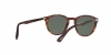 PO3152S Sunglasses