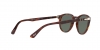 PO3152S Sunglasses