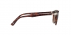 PO3152S Sunglasses