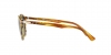 PO3152S Sunglasses