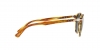 PO3152S Sunglasses