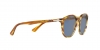 PO3152S Sunglasses