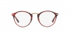 PO3166S Sunglasses