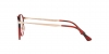 PO3166S Sunglasses