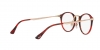 PO3166S Sunglasses