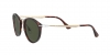 PO3166S Sunglasses