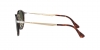 PO3166S Sunglasses