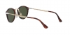 PO3166S Sunglasses