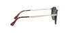 PO3166S Sunglasses
