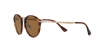 PO3166S Sunglasses