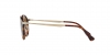 PO3166S Sunglasses