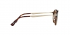 PO3166S Sunglasses