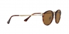 PO3166S Sunglasses