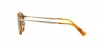 PO3166S Sunglasses