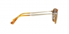 PO3166S Sunglasses
