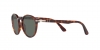 PO3171S Sunglasses
