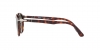 PO3171S Sunglasses