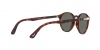 PO3171S Sunglasses