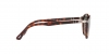 PO3171S Sunglasses