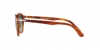 PO3171S Sunglasses