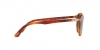PO3171S Sunglasses