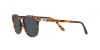PO3186S Sunglasses