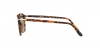 PO3186S Sunglasses