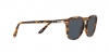 PO3186S Sunglasses