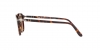 PO3186S Sunglasses