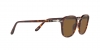 PO3186S Sunglasses