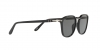 PO3186S Sunglasses