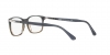 PO3189V Eyeglasses
