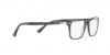 PO3189V Eyeglasses