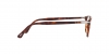 PO3189V Eyeglasses