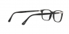 PO3189V Eyeglasses