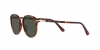 PO3210S Sunglasses