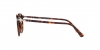 PO3210S Sunglasses