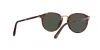 PO3210S Sunglasses