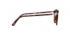 PO3210S Sunglasses