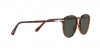 PO3210S Sunglasses