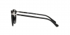 PO3210S Sunglasses
