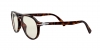 PO3218V Eyeglasses