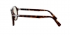 PO3218V Eyeglasses