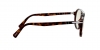 PO3218V Eyeglasses