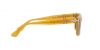 PO3272S Sunglasses