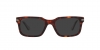 PO3272S Sunglasses