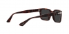 PO3272S Sunglasses