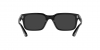 PO3272S Sunglasses